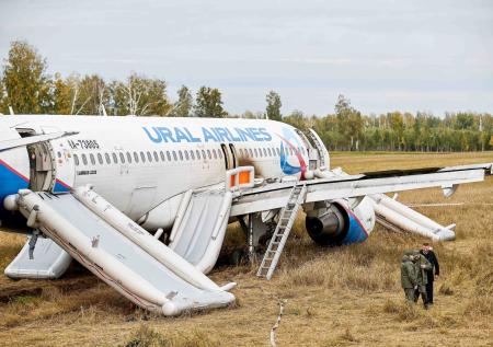 Севший в поле Airbus A320 начали разбирать на запчасти спустя год после ЧП