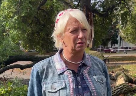 В Орле надвое раскололся дуб — символ отмены крепостного права