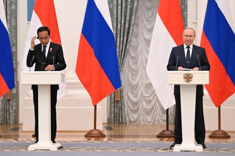 Джоко Видодо и Владимир Путин