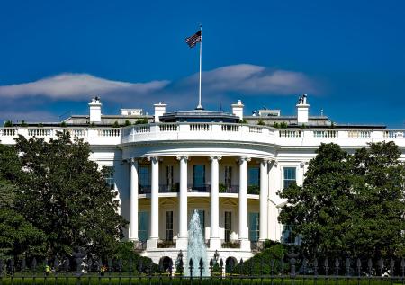 The Hill: 40% американцев не хотят видеть Байдена и Трампа президентами