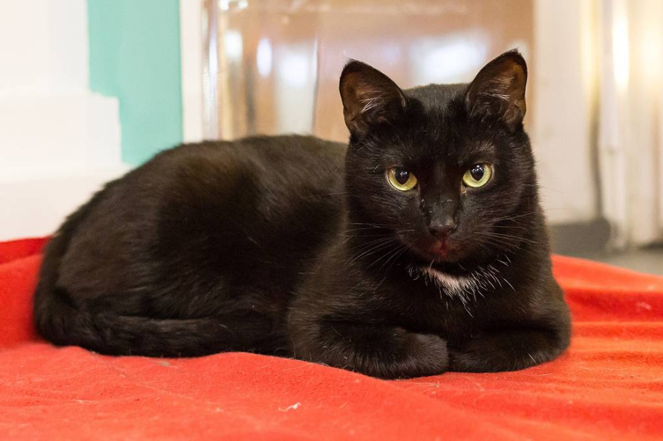 Бэтти — сотрудница Молодёжного театра на Фонтанке