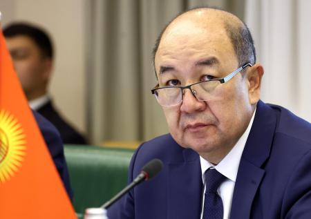 МИД Киргизии назвал срок урегулирования правового положения мигрантов в РФ