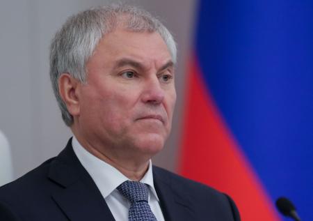 Володин объяснил принцип работы публичного реестра нелегальных мигрантов