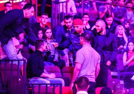 Следующего соперника Емельяненко выберут болельщики