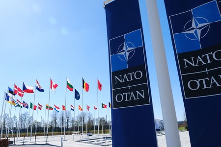 В Китае рассказали, чем поплатится НАТО за провокации Эстонии в адрес РФ