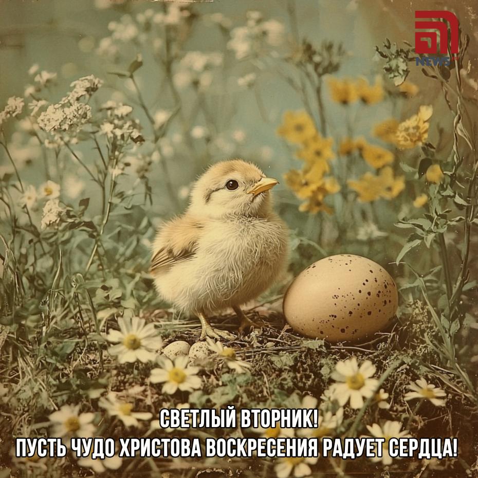 Открытки на Светлый вторник, 22 апреля