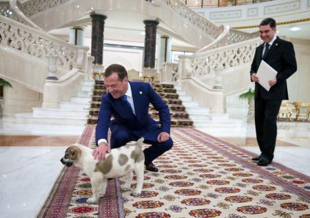 Президент Туркмении написал книгу о собаках 