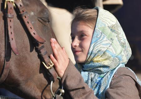 Бесхозная лошадь поселилась на улицах Санкт-Петербурга