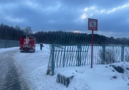 Мальчик провалился под лед на пруду в Москве и погиб