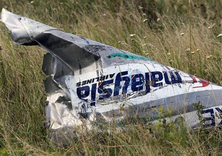 Посла России вызвали в МИД Нидерландов из-за дела о крушении MH17