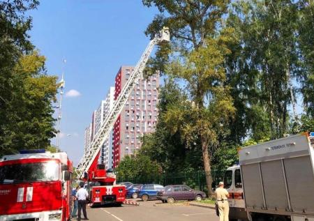 Выступающая против застройщиков москвичка взяла арбалет и залезла на дерево