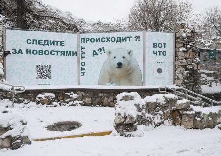 Стало известно об изменении состояния медведя Диксона