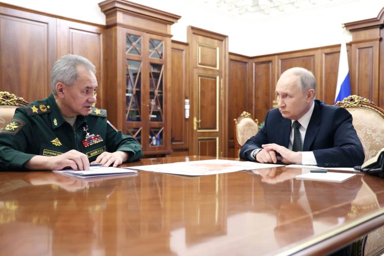 Сергей Шойгу, Владимир Путин