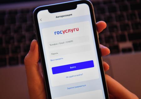 Россиянам придется регистрироваться на «Госуслугах» для онлайн-шопинга