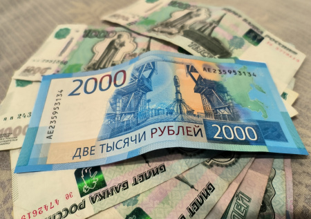 Эксперт оценил адаптацию российской экономики к невзгодам