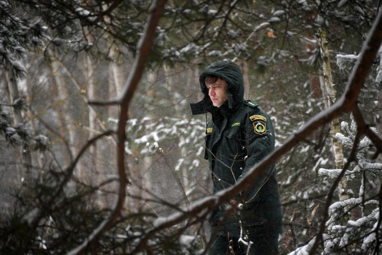 Инспектор государственного экологического контроля во время рейда по незаконной вырубке елок