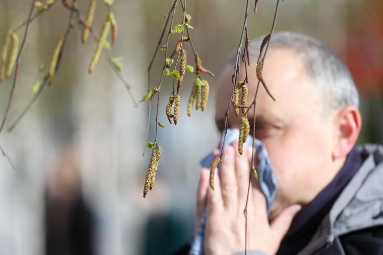 Пыльца сегодня в Москве: 17 марта