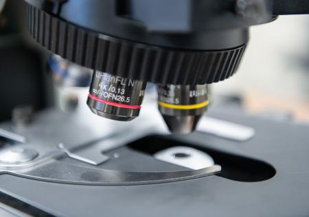 Исследователей происхождения COVID-19 распустили из-за их предвзятости