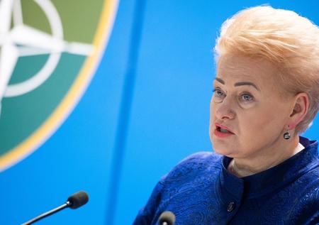 Президент Литвы поддержала стремление Грузии в ЕС