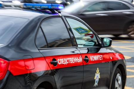 Дерево насмерть придавило россиянку, которая пришла на кладбище
