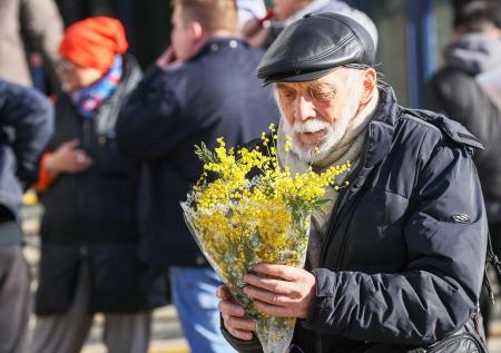 Почему принято дарить мимозу на 8 Марта: вот откуда пошла традиция