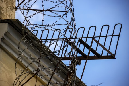 Стало известно, какой срок грозит подмосковным школьникам за гей-фильм