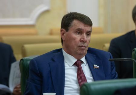 Сенатор Цеков: Запад не достиг результата своими санкциями