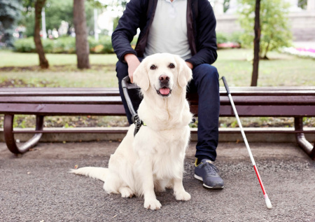 Какой сегодня день? Праздники и памятные даты 24 апреля 2026 года