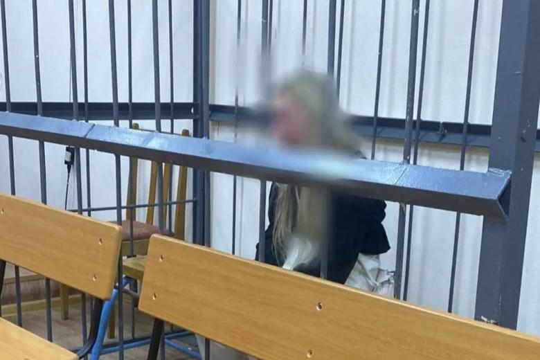 Обвиняемая мать ребенка