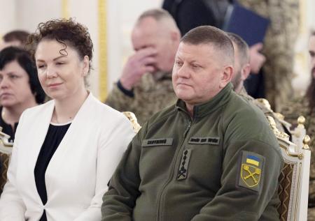 В Госдуме назвали главную причину отставки Залужного