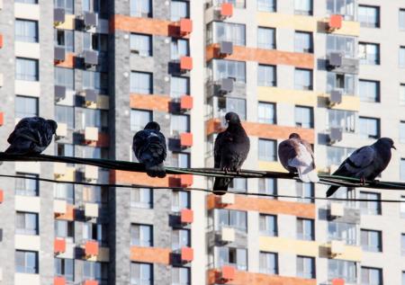 Семейная ипотека, ОСАГО и пенсии: какие изменения ждут россиян в апреле