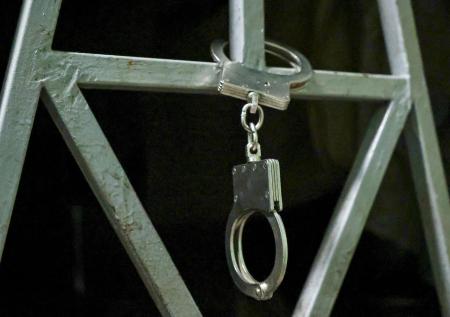 В стране СНГ задержали десятки членов террористической ячейки