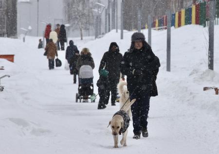 Молодёжные надбавки на Севере предложили платить до 35 лет
