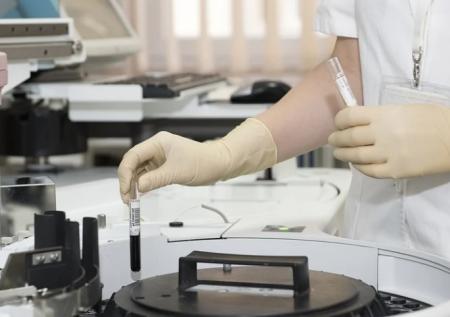 В Чехии выявлен высокопатогенный штамм вируса птичьего гриппа H5N1