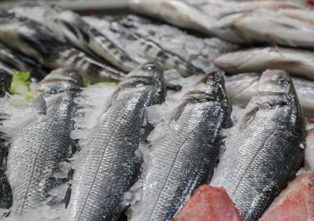 Диетолог назвал полезные для офисных работников продукты
