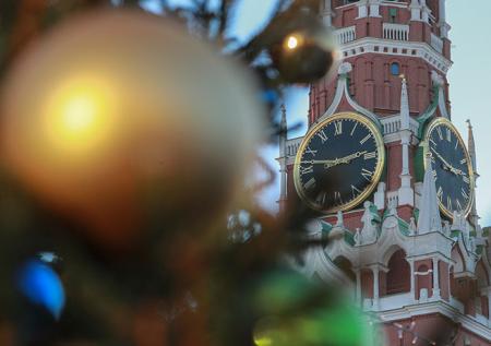 Россиян научили правильно выбирать ёлку на Новый год