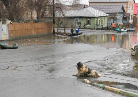 Губернатор рассказал, как изменилась ситуация с паводком в Кургане