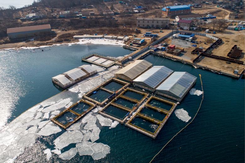 Вид на вольеры Центра адаптации морских животных в Средней бухте. В центре передержки содержались 11 нелегально выловленных для продажи в Китай косаток, там же было 90 белух