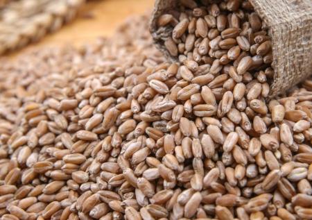 Россия ответит на повышение пошлин ЕС на сельхозпродукцию
