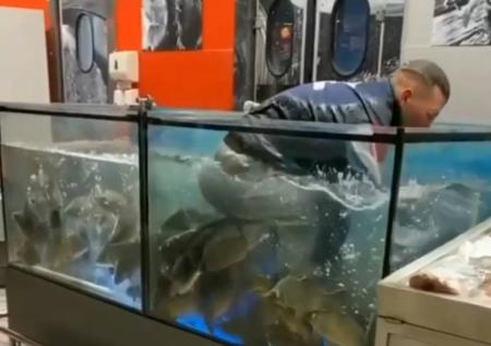 Белорус залез в аквариум в супермаркете ради спасения обручального кольца