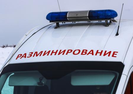Артиллерийскую мину нашли возле детского сада в Москве