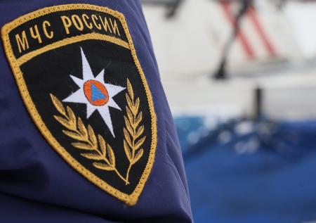 В службе спасения Саратова объяснили, почему не помогают собаке на льду