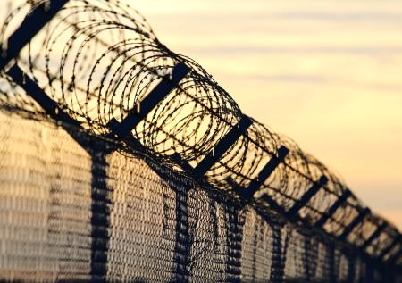 Белорусские пограничники обнаружили труп беженца у латвийской границы 