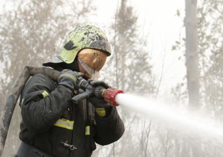 В Рязанской области отчитались о пожарах