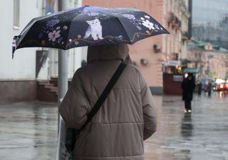 Жителям Москвы пообещали дождь и гололедицу