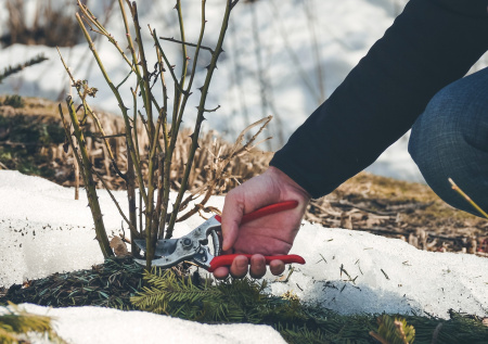 Какой сегодня день? Праздники и памятные даты 21 февраля 2026 года