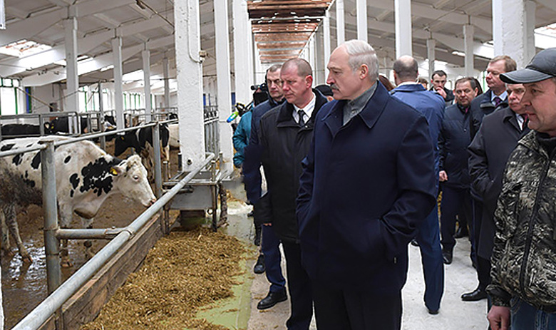 Президент Белоруси Александр Лушенко