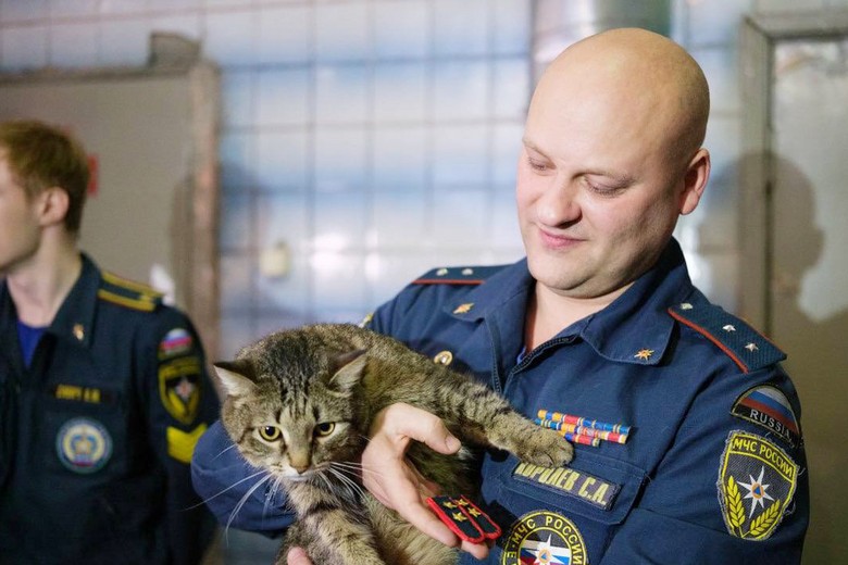 Коту Толику из отряда #Семенычи вручили первое специальное звание
