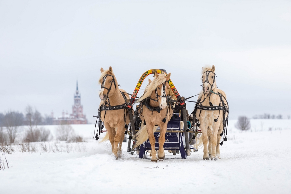 6 декабря — Митрофанов день