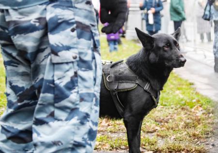 В Петербурге эвакуировали посетителей гипермаркета «Окей» после резни